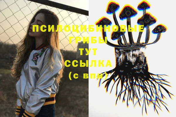 мяу мяу мука Баксан