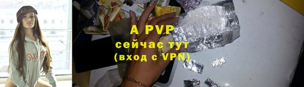 мяу мяу мука Баксан