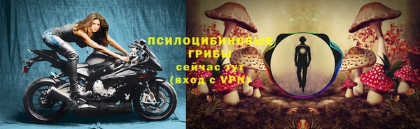 mdpv Балахна