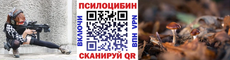 Псилоцибиновые грибы Cubensis  Балтийск 